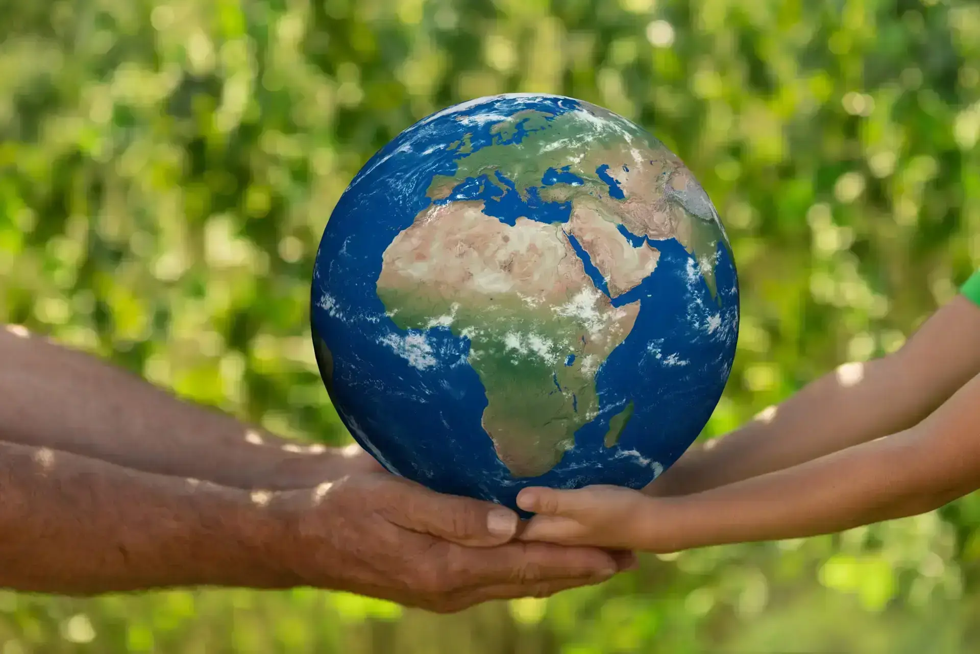 eco friendly packaging solution